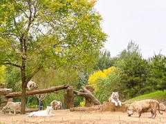 -北京野生动物园