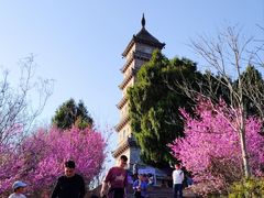 -天台山赤城山景区