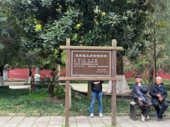 -武侯墓风景区