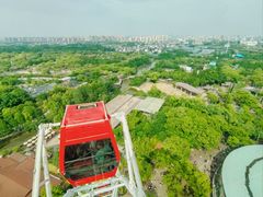 -上海野生动物园