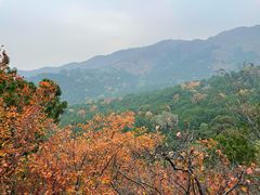 -香山公园