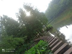 -重庆彩云湖湿地公园