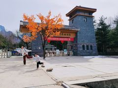 -青峰峡国家森林公园