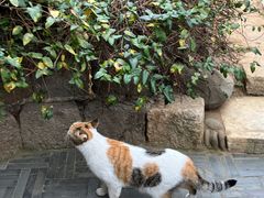 -龙华寺
