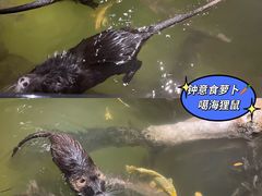 -正佳雨林生态植物园
