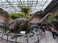 -国家自然博物馆