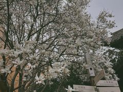 -龙华寺