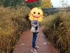 -河北省园博园
