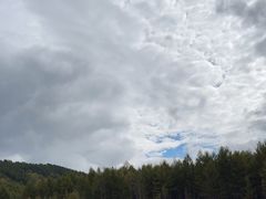 -莫尔道嘎国家森林公园