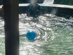 -泉眼温泉