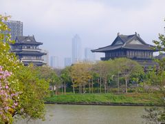 -海珠湖公园