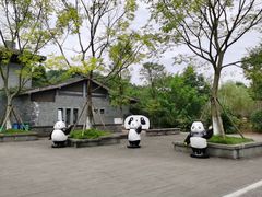 -都江堰中华大熊猫苑