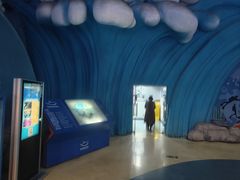 -烟台海昌鲸鲨海洋公园