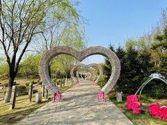 -莫子山公园