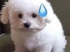 -鑫梦桌游谋杀之谜剧本杀俱乐部(联合商厦店)