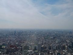 -东京都厅舍