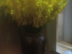-海悦容庭SPA·按摩·推拿(埌西店)