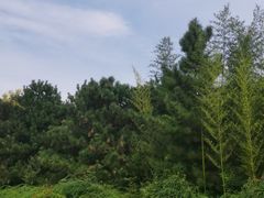-郑州植物园