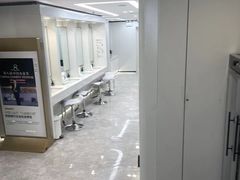 -宋家庄(地铁站)