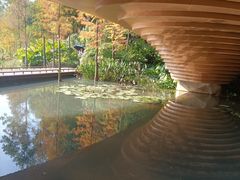 -云溪植物园