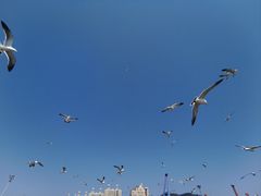 -星海广场