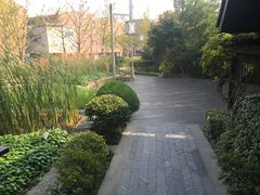 -活水公园