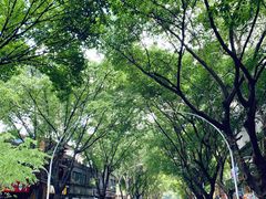 -煎意浓·吴记煎包(交通路店)