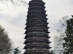 -红梅公园