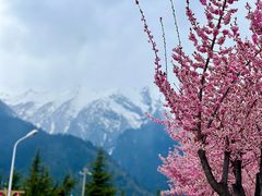 -比日神山
