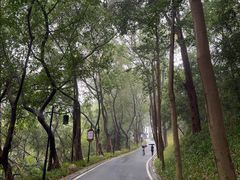-广州雕塑公园