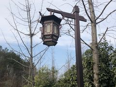 -黄陂区野村谷景区