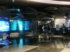 -百美汇影城(LUXE嘉里中心店)