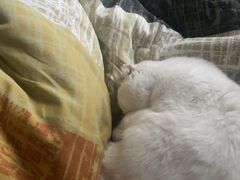 -芸山季·云南山珍菌火锅(人民广场来福士店)