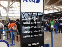 -全日本空输株式会社(上海办事处)