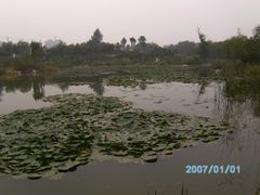 -红莲湖