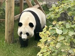 -鄂尔多斯野生动物园