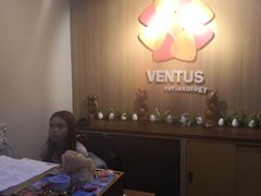 -ventus spa 沙巴亚庇正宗精油按摩会所