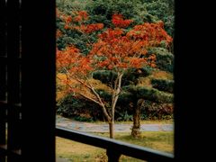 -兰亭风景区