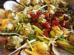 -鲁前海沿儿
