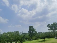 -盘龙城国家考古遗址公园