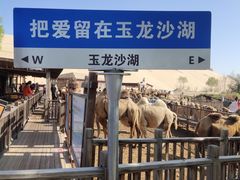 -玉龙沙湖景区