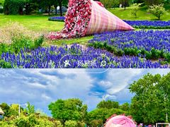 -北京世界花卉大观园