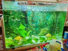 -闯关东东北农家菜(崂山石老人店)