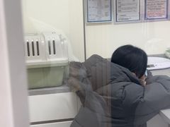 -爱佳宠物中心医院24H·CT·骨外科·猫专科(瑶海万达店)