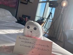 -北京索菲特大酒店