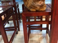 -河州春清真西北特色美食(虎踞路店)