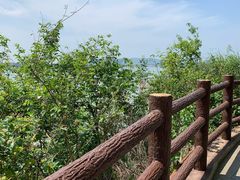 -羚羊峡古栈道森林公园