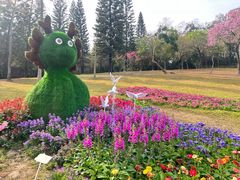 -广州市白云山风景名胜区