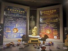 -雪灵魔法世界SHELLY’S TAROT(大良桂畔里店)