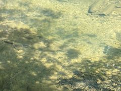 -广州白江湖森林公园